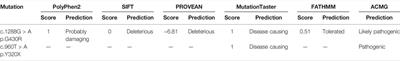 A Novel Mutation of Transferrin Receptor 2 in a Chinese Pedigree With Type 3 Hemochromatosis: A Case Report